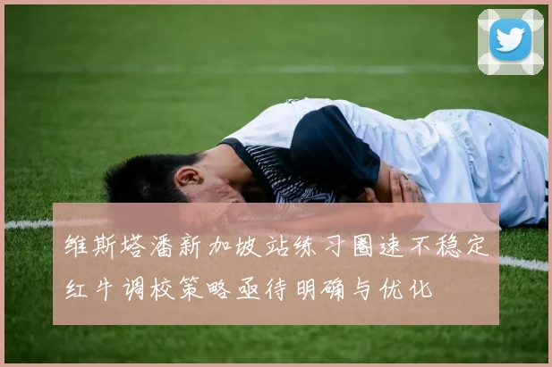 维斯塔潘新加坡站练习圈速不稳定红牛调校策略亟待明确与优化